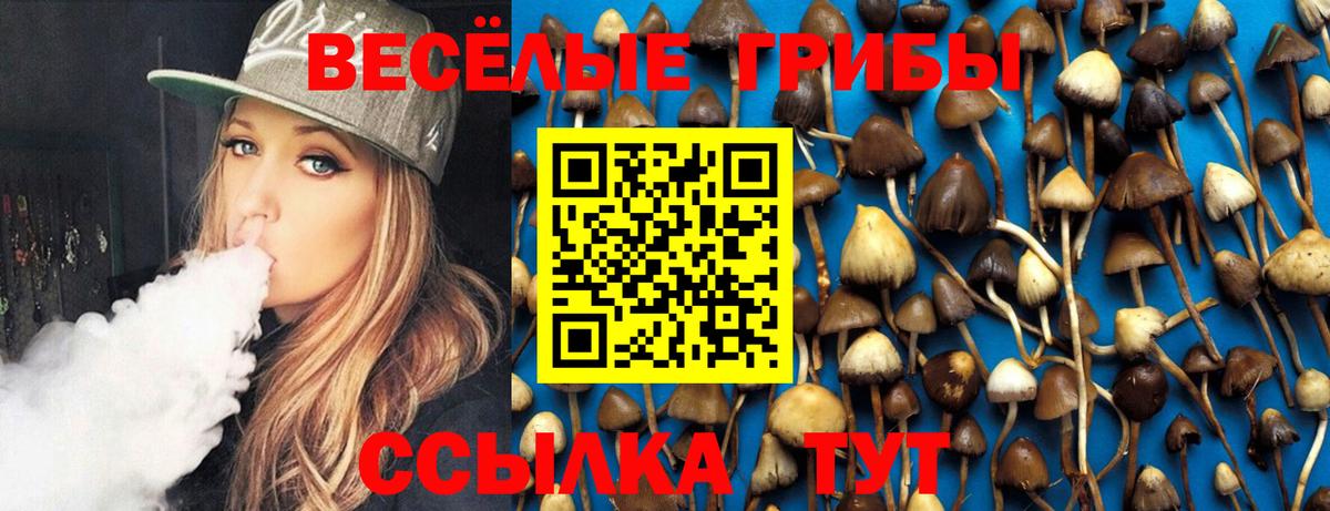 Псилоцибиновые грибы Psilocybine cubensis Новошахтинск